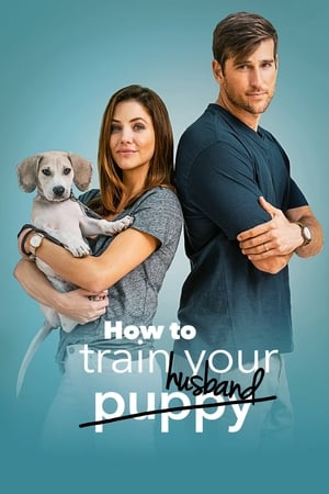 How to Train Your Husband 2018 Hindi Dual Audio 720p BluRay [1GB] Movie Poster