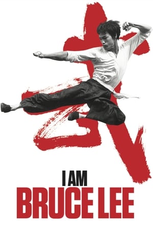 I Am Bruce Lee 2012 300MB Hindi Dual Audio Bluray 480p Movie Poster