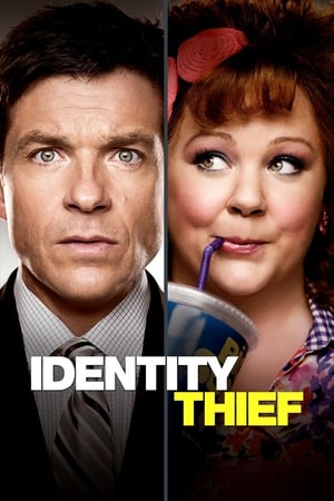 Identity Thief (2013) Hindi Dual Audio 480p BluRay 350MB Movie Poster