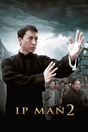 Ip Man 2 (2010) Hindi Dual Audio 720p BluRay [1GB] Movie Poster