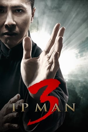 Ip Man 3 (2015) Hindi Dual Audio HDRip 400MB Movie Poster