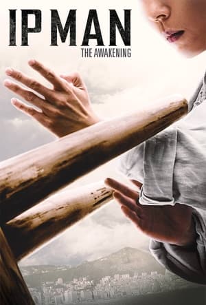 Ip Man: The Awakening (2022) Hindi Dual Audio HDRip 720p – 480p Movie Poster