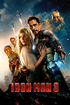 Iron Man 3 (2013) Hindi Dual Audio 480p BluRay 300MB Movie Poster