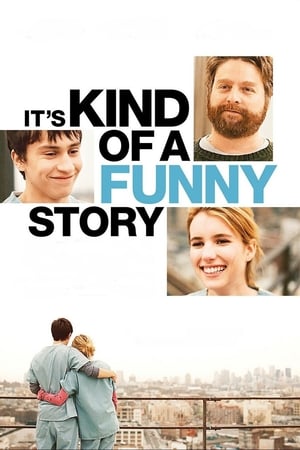 It's Kind of a Funny Story (2010) Hindi Dual Audio 480p BluRay 330MB ESubs Movie Poster