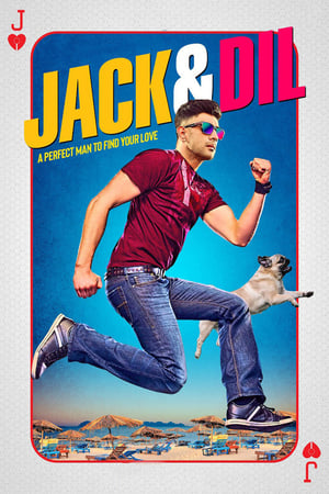 Jack And Dil (2018) Hindi Movie 480p HDTVRip - [280MB] Movie Poster