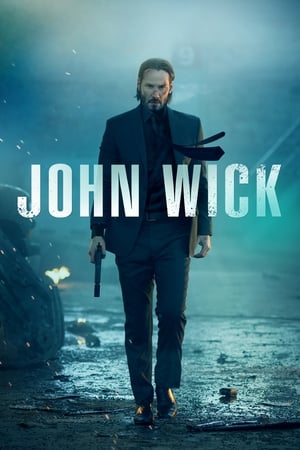 John Wick (2014) Hindi Dual Audio 480p BluRay 300MB ESubs Movie Poster