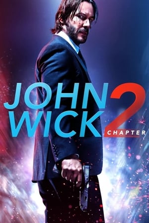 john Wick Chapter 2 (2017) Dual Audio Hindi Movie 720p BluRay - 1.1GB Movie Poster