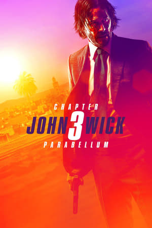 John Wick: Chapter 3 – Parabellum (2019) Hindi (ORG) Dual Audio 720p BluRay [1.2GB] Movie Poster