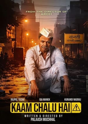 Kaam Chalu Hai 2024 Hindi HDRip 720p – 480p – 1080p Movie Poster