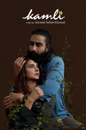 Kamli (2022) Urdu Movie HDCAM 720p – 480p Movie Poster