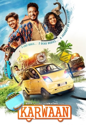 Karwaan (2018) Hindi Movie 480p HDRip - [300MB] Movie Poster