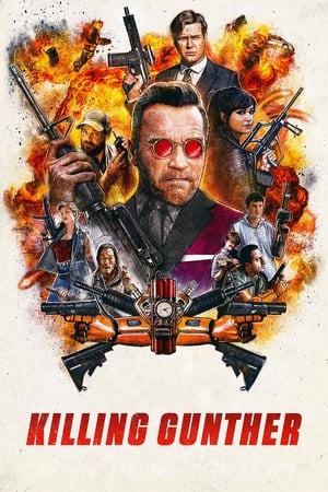 Killing Gunther 2017 Hindi Dual Audio 480p BluRay 300MB Movie Poster