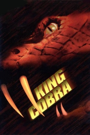 King Cobra 1999 110mb Hindi Dual Audio movie Hevc WebDL Download Movie Poster