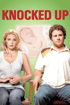 Knocked Up (2007) Hindi Dual Audio 720p BluRay [1GB] Movie Poster