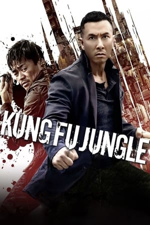 Kung Fu Jungle (2014) Hindi Dual Audio 720p BluRay [800MB] Movie Poster