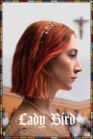 Lady Bird 2017 Hindi Dual Audio 480p BluRay 300MB Movie Poster