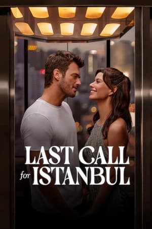 Last Call for Istanbul 2023 Hindi Dual Audio HDRip 720p – 480p Movie Poster