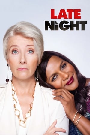 Late Night 2019 Hindi Dual Audio 480p Web-DL 300MB Movie Poster