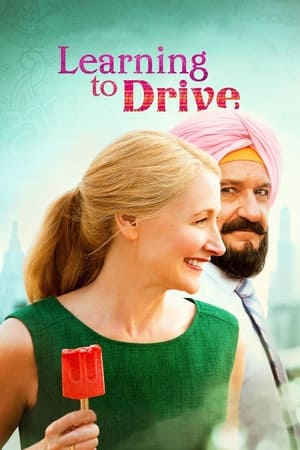 Learning to Drive (2014) Hindi Dual Audio 480p BluRay 300MB Movie Poster