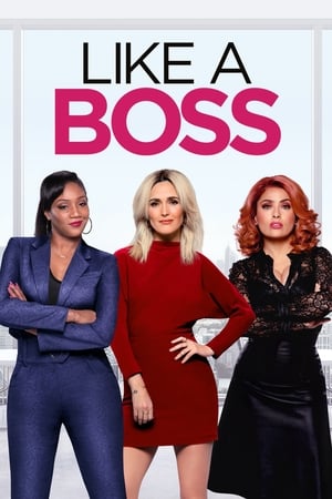 Like a Boss (2020) Hindi Dual Audio 480p Web-DL 300MB Movie Poster