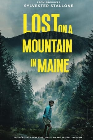 Lost on a Mountain in Maine 2024 Hindi Subbed CAMRip 1080p Movie Poster