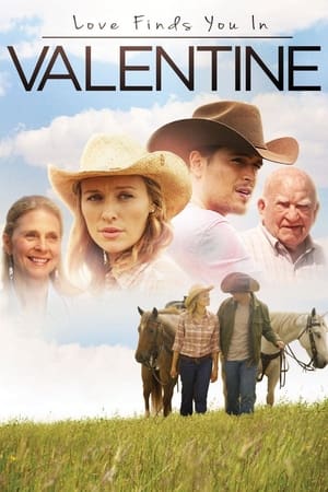 Love Finds You in Valentine (2016) Hindi Dual Audio 480p BluRay 300MB Movie Poster