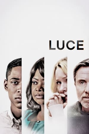 Luce 2019 Hindi Dual Audio 480p Web-DL 340MB Movie Poster