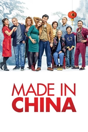 Made in China (2019) Hindi Movie 720p HDRip x264 [930MB] Movie Poster