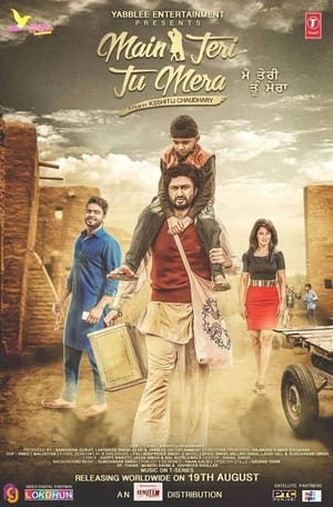 Main Teri Tu Mera 2016 Punjabi 720p HDRip ESubs [1.1 GB] Movie Poster