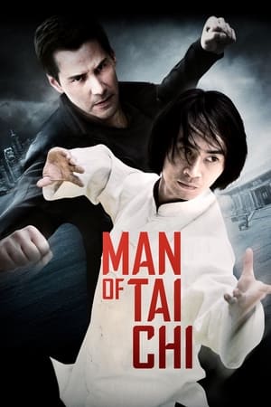 Man of Tai Chi (2013) Hindi Dual Audio HDRip 720p – 480p Movie Poster