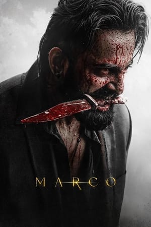 Marco 2024 Hindi WEB-DL 720p - 480p - 1080p Movie Poster