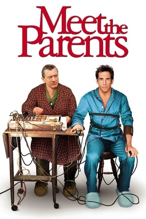 Meet the Parents 2000 Hindi Dual Audio 480p BluRay 350MB Movie Poster