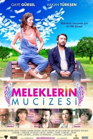 Meleklerin mucizesi (2014) Hindi Dual Audio 480p Web-DL 280MB Movie Poster