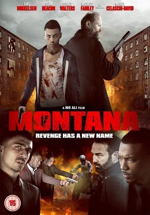 Montana (2014) Hindi Dual Audio 480p BluRay 350MB Movie Poster