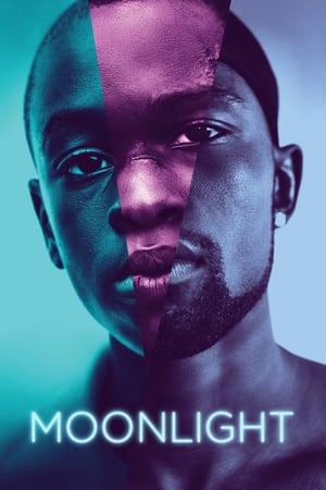 Moonlight (2016) Full Movie [HDCAM] 800MB Movie Poster