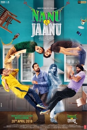 Nanu Ki Jaanu (2018) Movie 480p HDRip – [400MB] Movie Poster