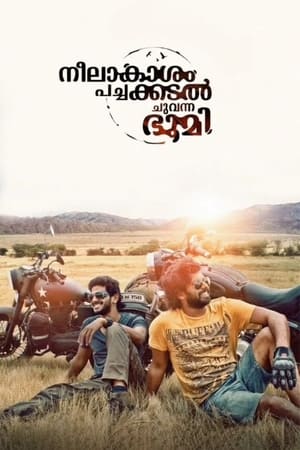 Neelakasham Pachakadal Chuvanna Bhoomi (2013) Hindi Dubbed 720p HDRip [1.4GB] Movie Poster