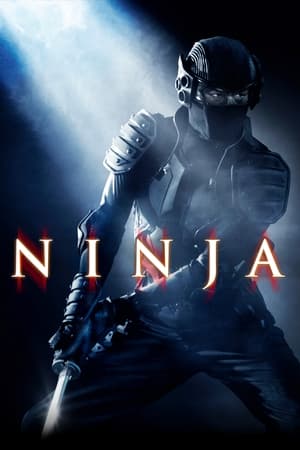 Ninja (2009) Hindi Dual Audio HDRip 720p – 480p Movie Poster