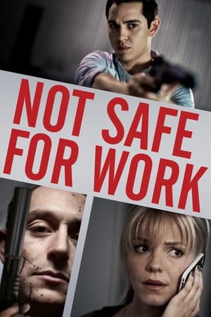 Not Safe for Work (2014) Hindi Dual Audio 480p BluRay 250MB Movie Poster