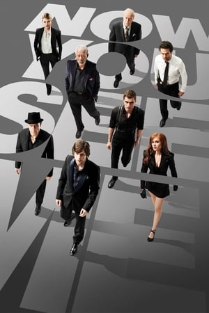 Now You See Me (2013) Hindi 1080p Dual Audio Bluray [1.8 GB] Movie Poster