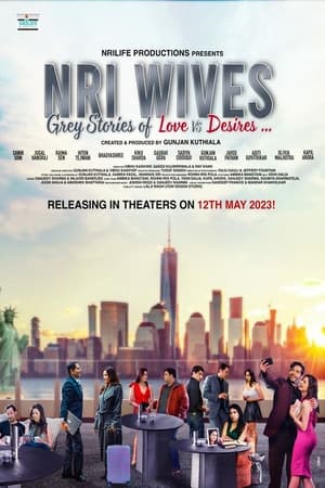 NRI Wives 2023 Hindi Pre-DVDRip | 720p | 480p Movie Poster