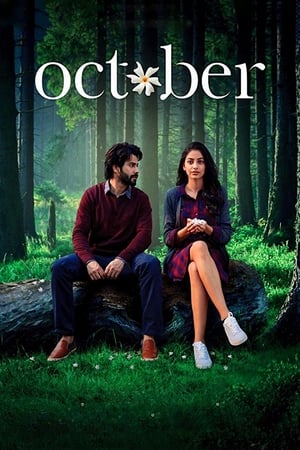 October (2018) Movie 480p BluRay - [300MB] Movie Poster