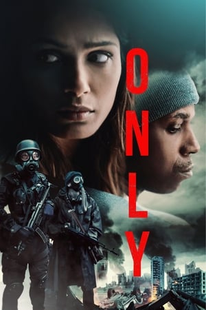 Only 2019 Hindi Dual Audio 480p Web-DL 300MB Movie Poster