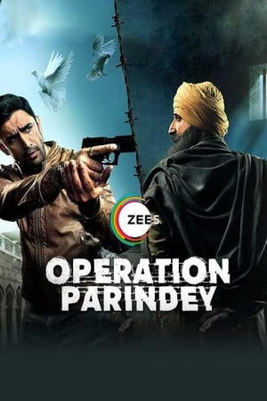 Operation Parindey 2020 Hindi Movie 480p HDRip - [200MB] Movie Poster