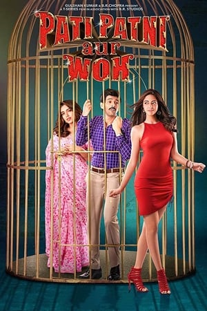 Pati Patni Aur Woh 2019 Hindi Movie 720p HDRip x264 [1.2GB] Movie Poster