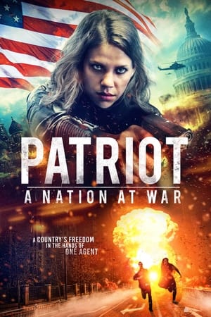 Patriot A Nation at War 2020 Hindi Dual Audio 480p Web-DL 300MB Movie Poster