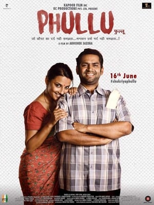 Phullu 2017 300MB Full Movie 480p DTHRip Download Movie Poster