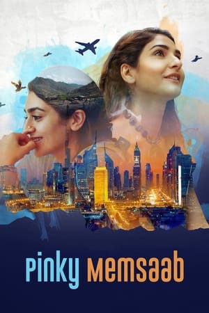 Pinky Memsaab 2018 Urdu Movie 480p HDRip - [360MB] Movie Poster