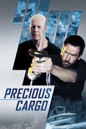 Precious Cargo (2016) Hindi Dual Audio 480p BluRay 300MB Movie Poster