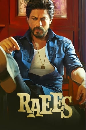 Raees 2017 Full Movie Bluray 720p [1.2GB] Download Movie Poster